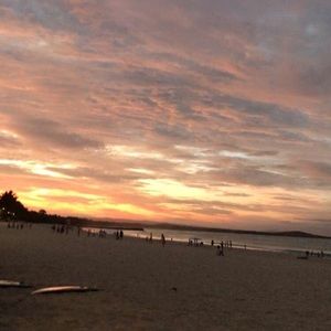 Meet your Posher, Rosie